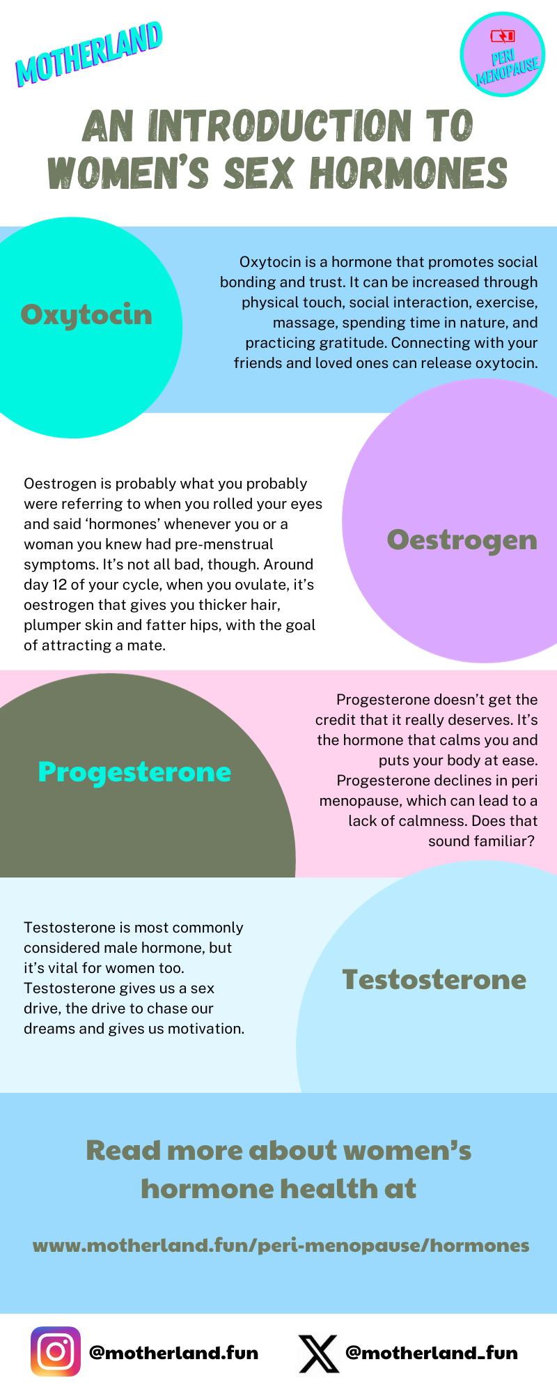 sex hormones infographic