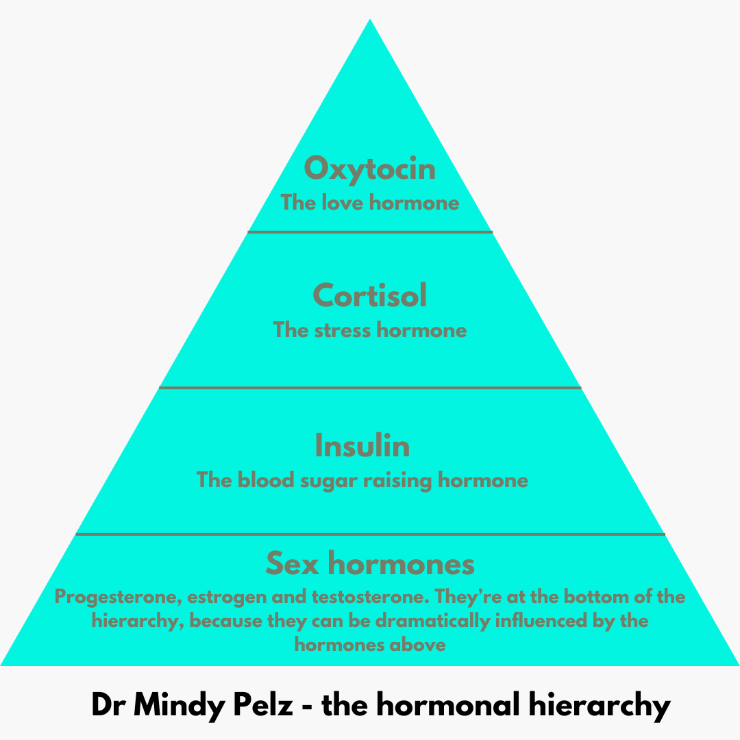 hormone hierarchy